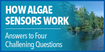How Algae Sensors Work | Answers to Four Challenging Questions